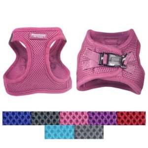 Home import placeholder for 9919